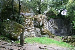 Capula, Corse