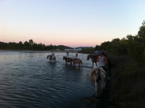 Balade à Cheval Ranch Villata Corse