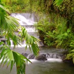 cascade-au-costa-rica